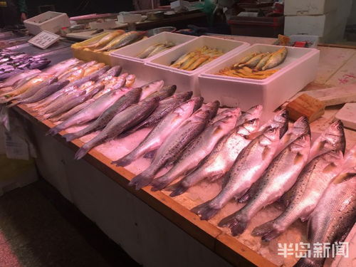 青島水產品交易遇冷，進口水產停售，市場監(jiān)管部門嚴查進貨來源